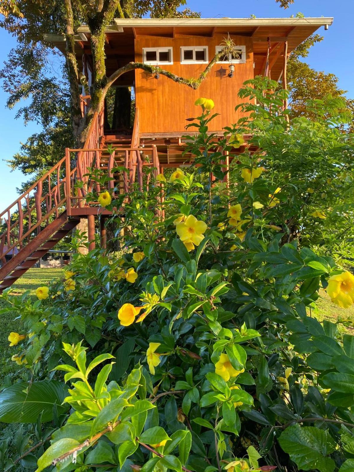 Hilamito Lodge تيلا المظهر الخارجي الصورة
